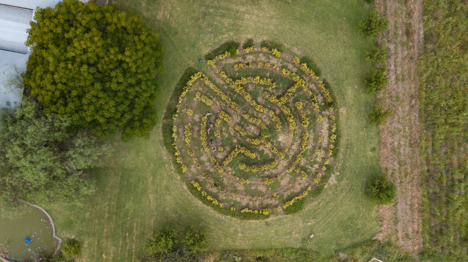 Chartwell House grounds — photo 1