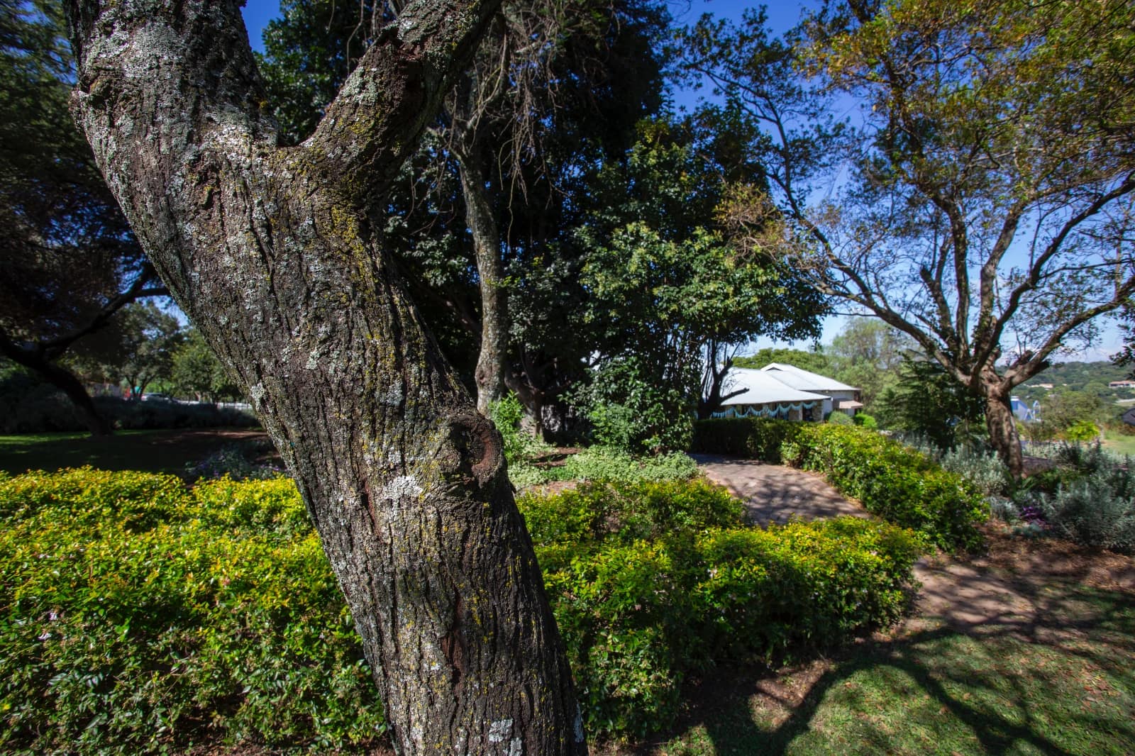 Chartwell House campus