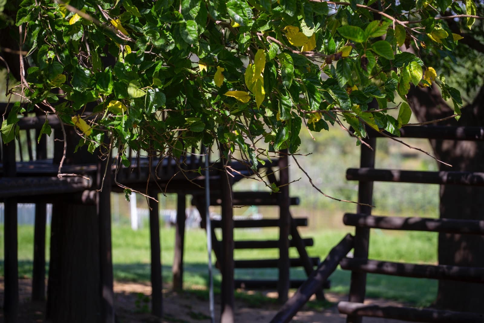 Latest news from Montessori Eco Schools