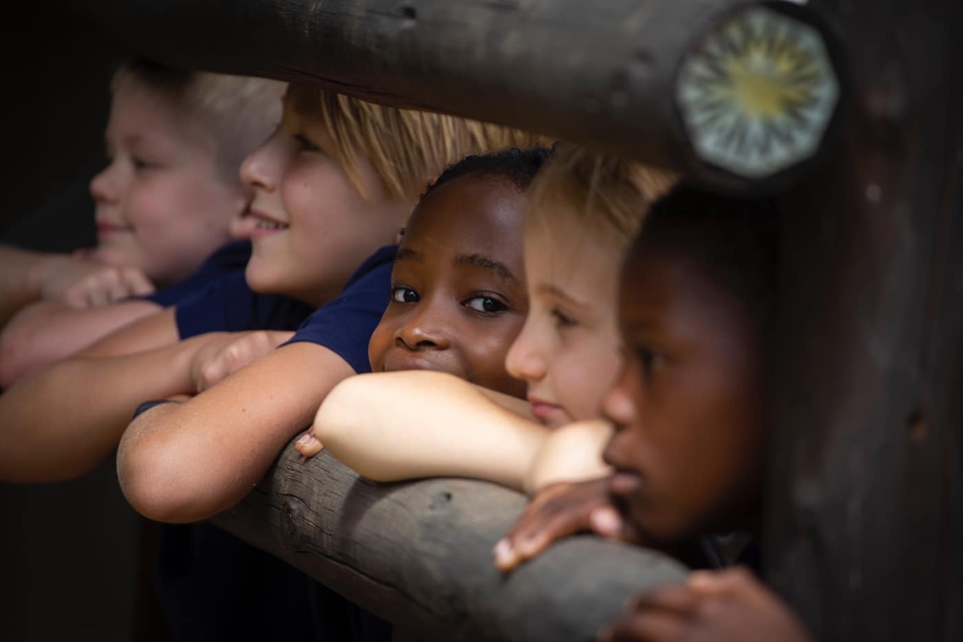 The Montessori Way.