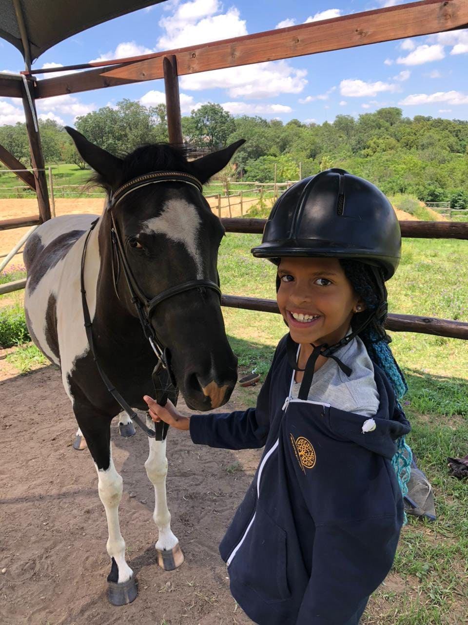 Horse riding lessons — photo 1