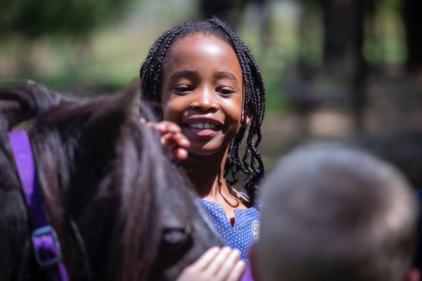 Horse riding lessons — photo 3